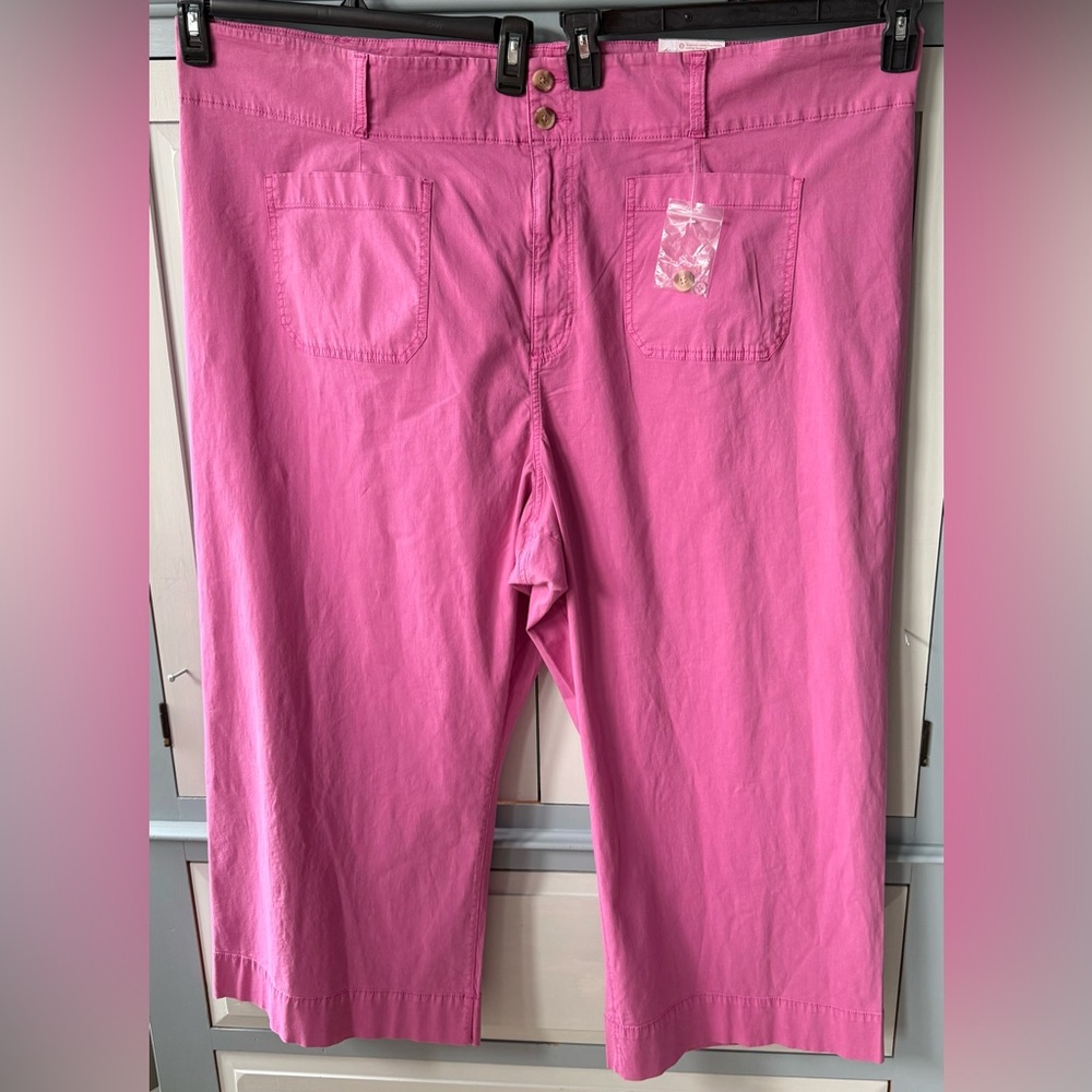 Plus Size Lauren Conrad Super High Rise Wide Leg Pink Crop Pants Size 26W NWT